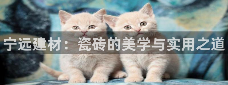 杏鑫平台怎么样