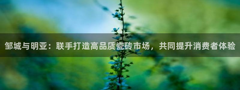 杏鑫平台代理注册登录不了怎么办呀视频